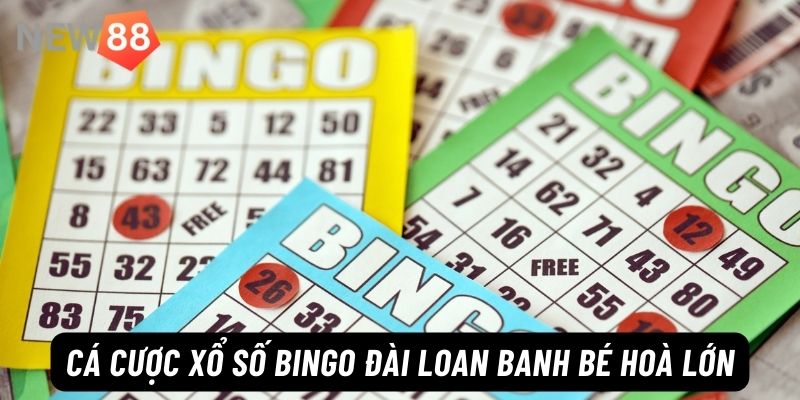 Hướng Dẫn Cách Chơi Xổ Số Bingo Đài Loan Tại New88 Hướng dẫn luật cược xổ số Bingo Đài Loan banh bé hoà lớn