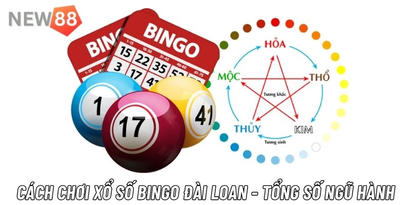 Hướng Dẫn Cách Chơi Xổ Số Bingo Đài Loan Tại New88 Hướng dẫn luật cược xổ số Bingo Đài Loan tổng ngũ hành