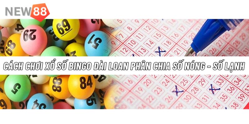 Hướng Dẫn Cách Chơi Xổ Số Bingo Đài Loan Tại New88 Lựa chọn và phân chia số nóng - lạnh khi tham gia xổ số Bingo