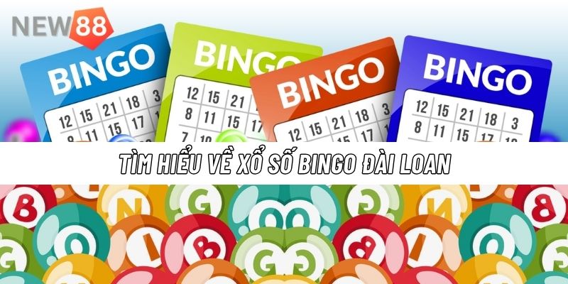Hướng Dẫn Cách Chơi Xổ Số Bingo Đài Loan Tại New88 Xổ số Bingo Đài Loan là gì - Vì sao trò chơi này lại được yêu thích đến vậy?