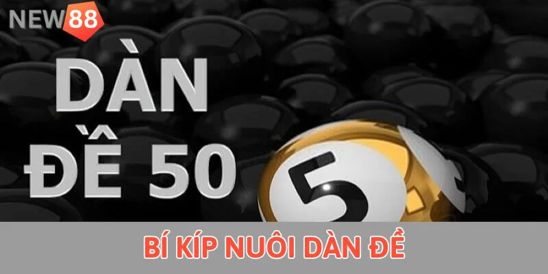Dàn Đề 50 Số - Tất Tần Tật Thông Tin Tân Binh Cần Nắm Bí kíp nuôi dàn đề
