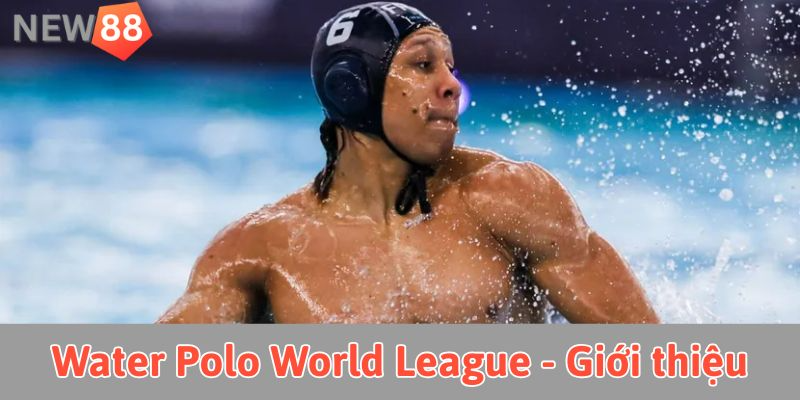 Cá cược Water Polo World League: Hướng dẫn toàn diện tại new88 Water Polo World League - Giới thiệu chung