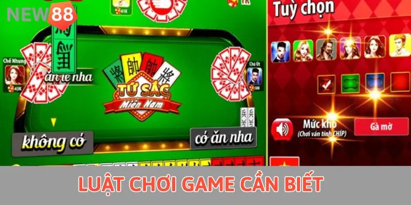 Cách Chơi Bài Tứ Sắc - Bí Kíp Giúp Tân Binh Thành Cao Thủ Luật chơi game cần biết