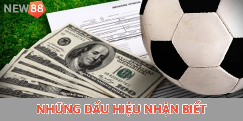 Kèo Thơm Hôm Nay New88 - Thông Tin Cá Cược Hấp Dẫn 2025 Những dấu hiệu nhận biết