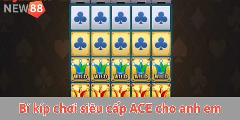 Siêu cấp ACE: Tất cả những gì bạn cần biết để chinh phục Bí kíp chơi siêu cấp ACE cho anh em newbie