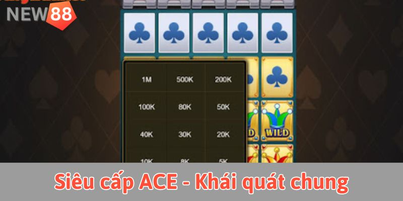 Siêu cấp ACE: Tất cả những gì bạn cần biết để chinh phục Siêu cấp ACE - Khái quát chung