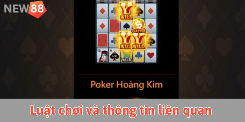 Siêu cấp ACE: Tất cả những gì bạn cần biết để chinh phục Luật chơi và thông tin liên quan Siêu cấp ACE New88
