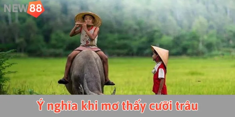 Mơ Thấy Trâu: Giải Mã Ý Nghĩa Và Con Số May Mắn Ý nghĩa bí ẩn khi mơ thấy cưỡi trâu